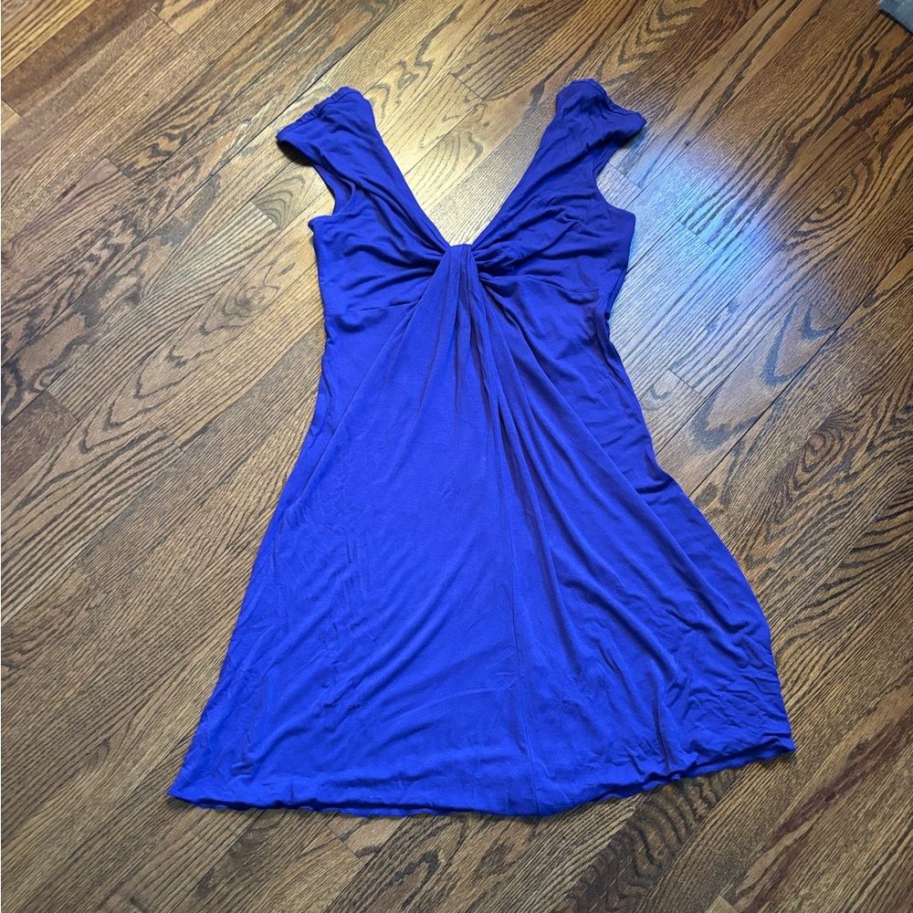 Express Royal Purple Dress